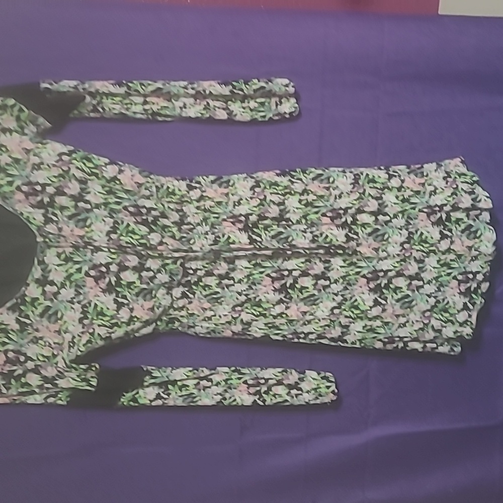 Princess Vera Wang,  Size XS, long sleeve,  dress with a slip, cinched waist